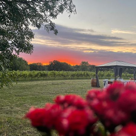 Bordeaux Chateau Lafleur Quinsac  Zewnętrze zdjęcie