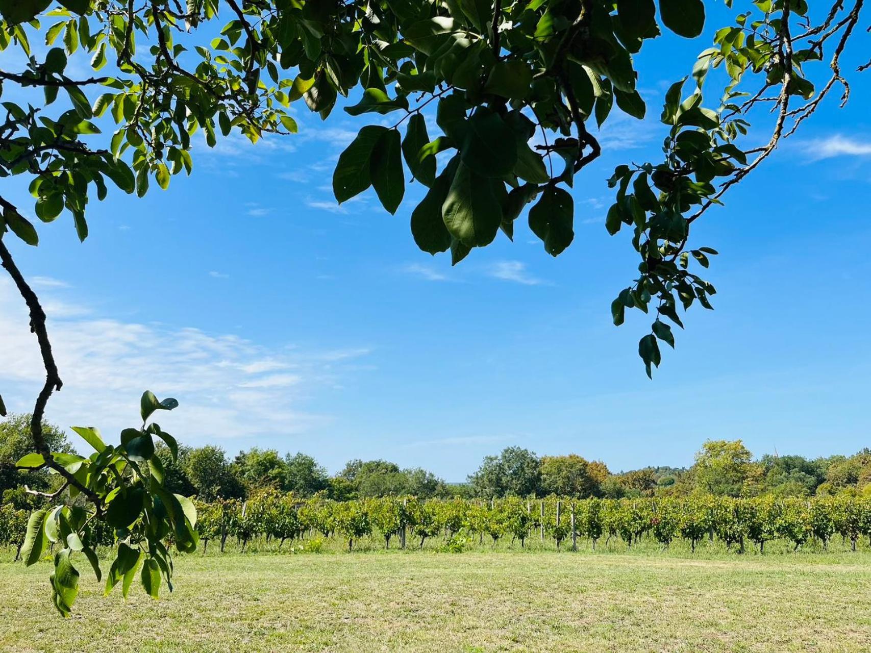 Bordeaux Chateau Lafleur Quinsac  Zewnętrze zdjęcie